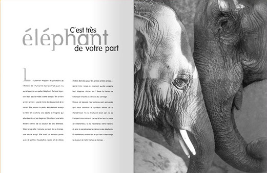 Double page avec à gauche l'accroche suivante : c'est très éléphant de votre part, à droite photo noir et blanc de 2 éléphants tête contre tête.