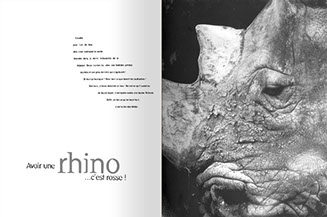 double page avec à gauche un texte typo qui prend la forme d'une corne de rhinocéros vue de profil, à droite laphoto qui vient compléter la typo